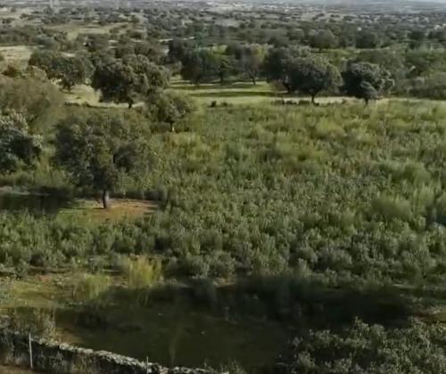 Vía Verde de Monfragüe