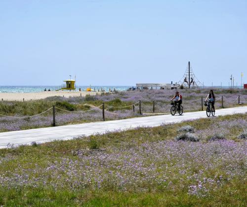 Sendero de Las Dunas (Castelldefels)